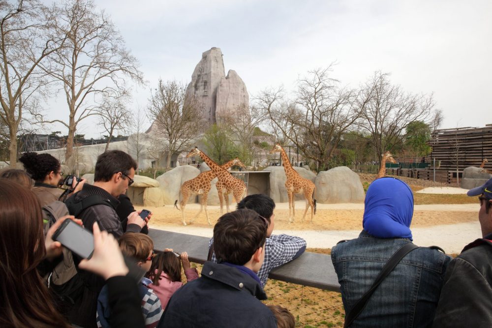 Zoo von Paris