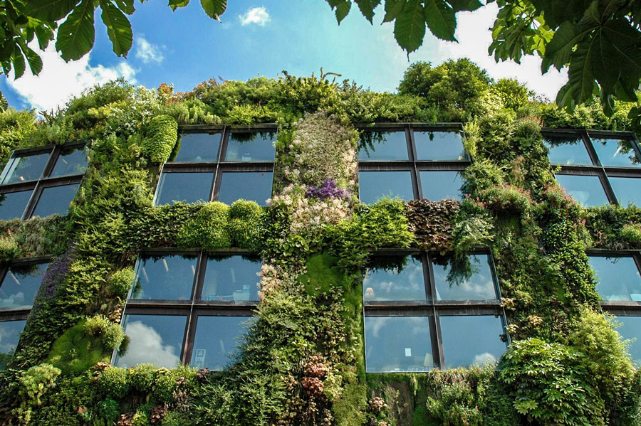 Vertikaler Garten des Musée du quai Branly