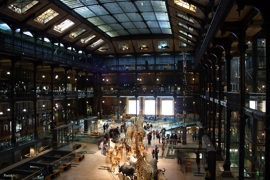 galerie de l'évolution Jardin des Plantes