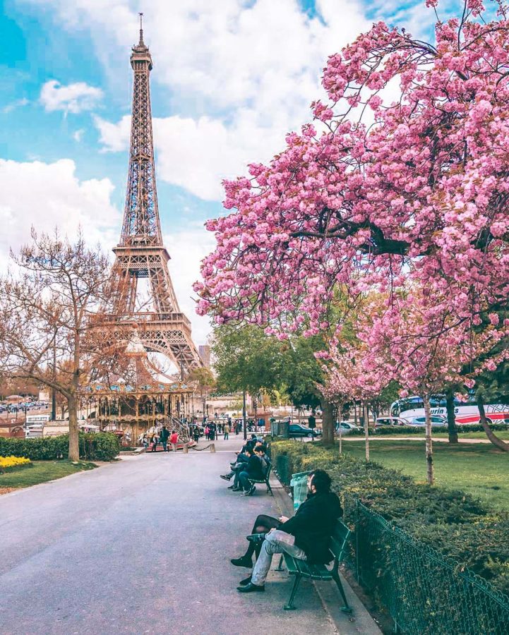 Kirschblüte am Eiffelturm