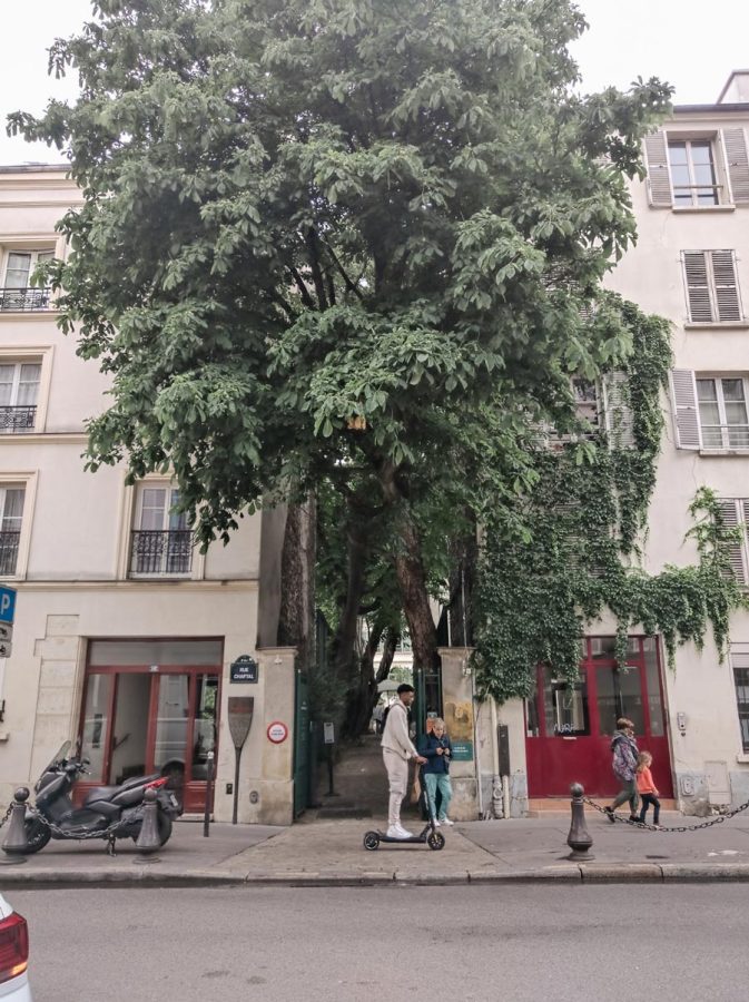 musee de la vie romantique parijs geheimen Innengarten