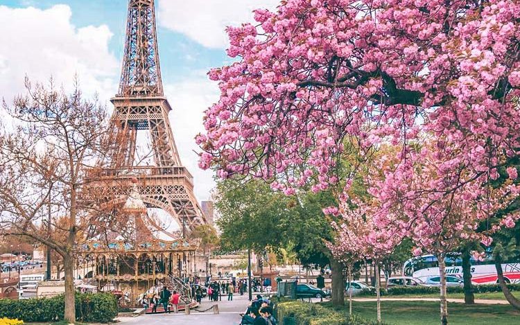 Die Kirschblüte in Paris