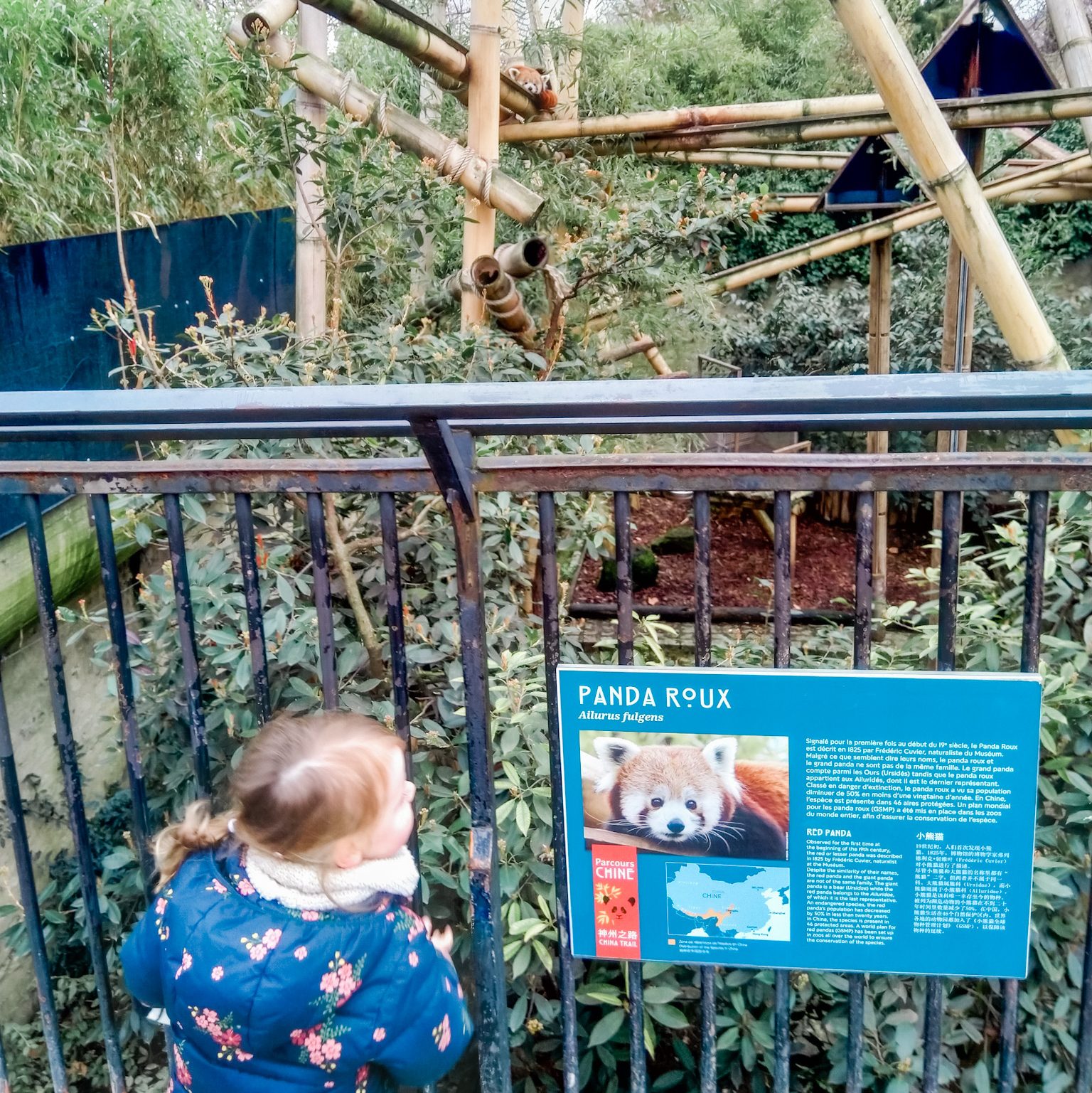 Pariser Zoo mit Kindern