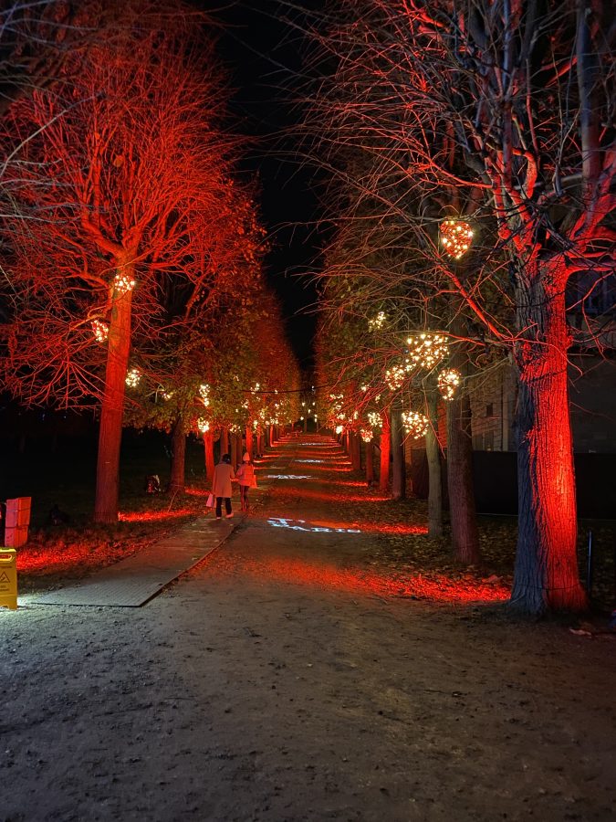 Lumieres en Seine parijs