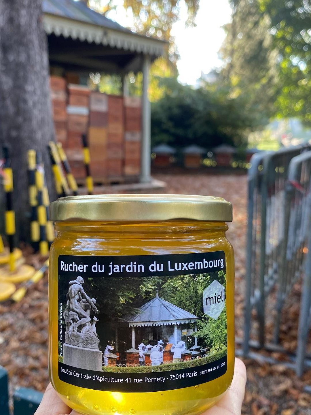 Honig aus dem Jardin du Luxembourg