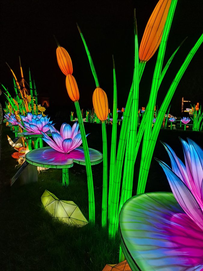 Jardin des Plantes – Winterliches Lichterfest!