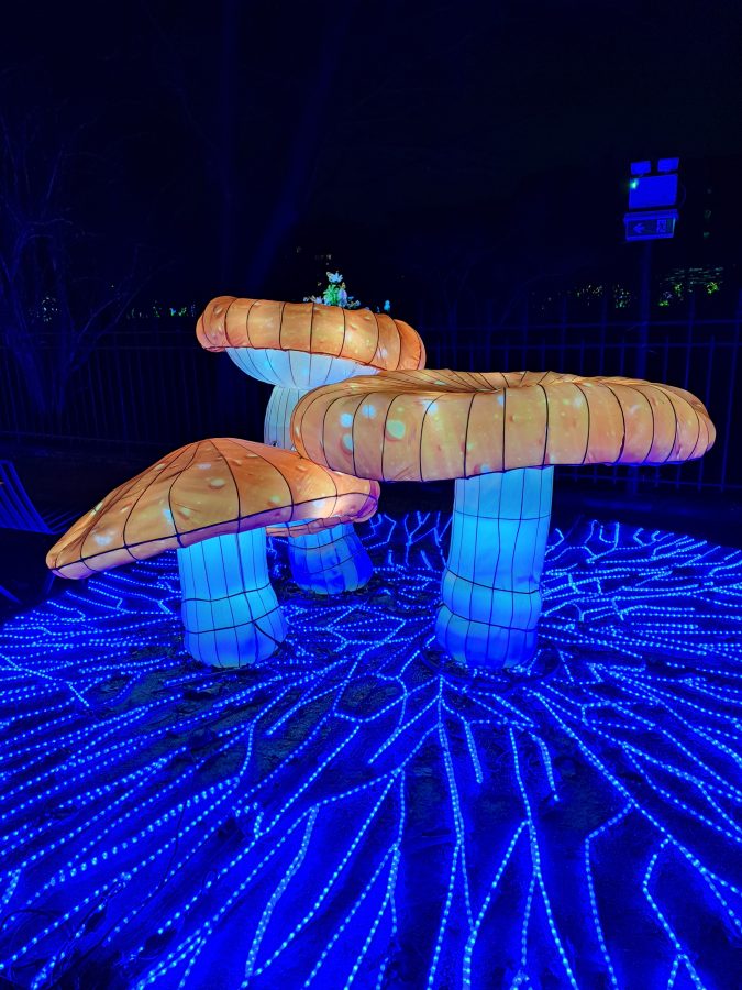 jardin des plantes Lichterfest